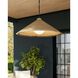 Devlin 1 Light 44 inch Bronze Outdoor Pendant